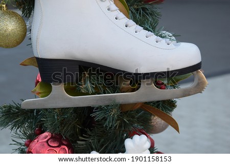 White figure skating skates without a pair hanging on the wall. Figure skating rink and fir branches.