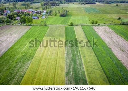 Drone view of a sown field during springtime in Mazowsze region of Poland
