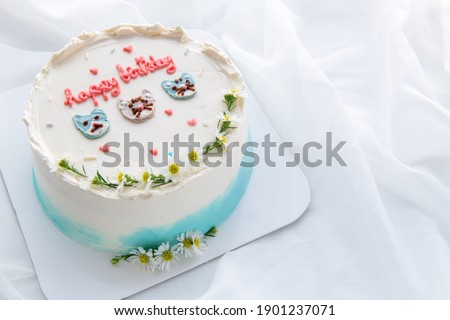 Minimal birthday cake and  decorated cute face cat and small flower on top with white cloth background. Thai Dessert