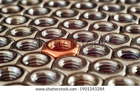 Nonconformity, standing out, individuality, leadership and inclusion concept. Single copper nut among stainles steel nuts.