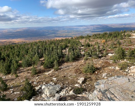 View over the forest from mountain top