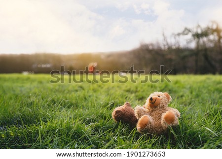 Lost Two Teddy bear with sad face lying on grass fields with blurry people walking,Couple Poor Bear doll laying down in the park, Lost toy or Loneliness concept, International missing Children's day Royalty-Free Stock Photo #1901273653
