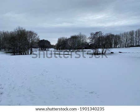 A view of some Trees and bushes in the snow around Whitchurch in Shropshire