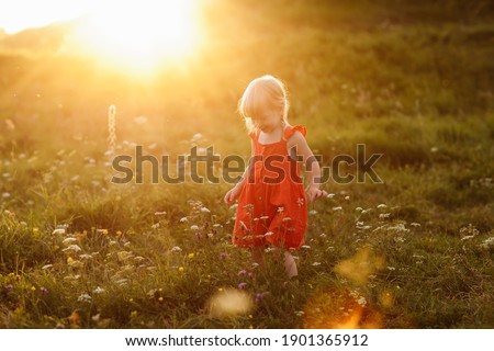 Portrait of a little beautiful girl in red dress on nature on summer day vacation. The playing in the green field at the sunset time. Close Up. The concept of family holiday and time together
