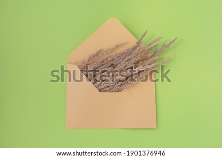 wildflowers in an envelope on a green background. Summer concept. Flat lay