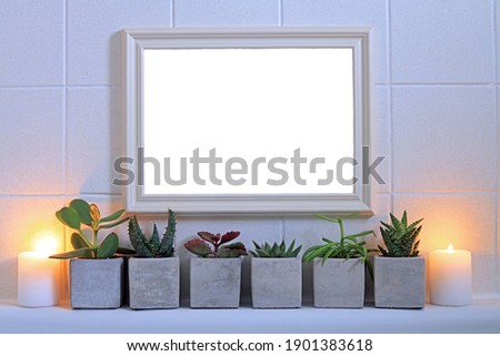 A Row Of Succulent Plants In Square Ceramic Pots With A Picture Frame Arranged In A Home Bathroom.