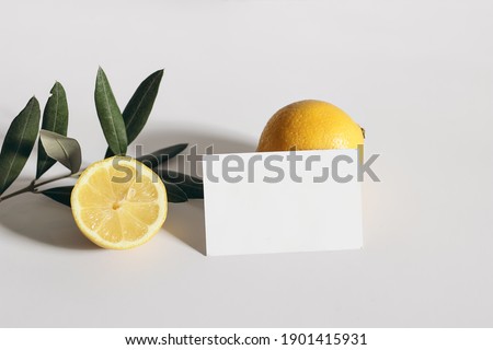 Summer stationery still life scene. Cut lemon fruit and  olive tree branch on white table background in sunlight. Closeup of blank business card mockup, long shadows. Top view. Branding concept.