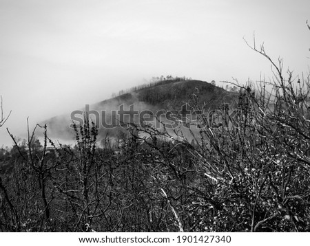 Black and White Photo: Landscape of Mountain Encamped by Fog. 