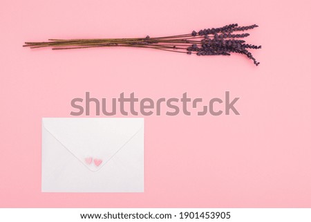 craft closed paper envelope for mail post and lavender isolated on the pink