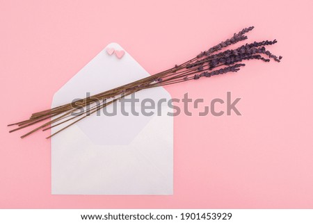 craft opened paper envelope for mail post and lavender isolated on the pink