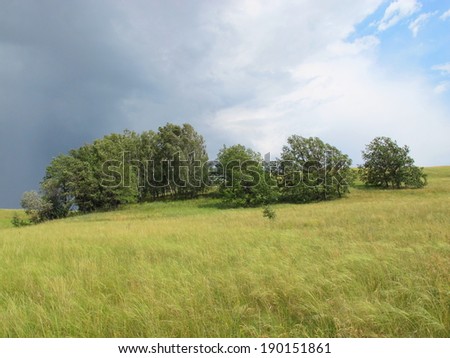 Oak trees on a steppe slope against a stormy sky