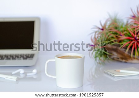 A cup of coffee on office table with air plant Tillandsia and modern office stationery.