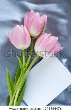 Pink tulips flowers and blank greeting mock up on blue silk backdrop top view. Copy space. Holiday concept.