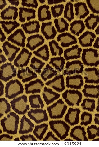leopard skin spots