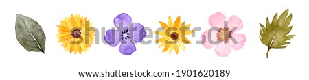 Illustration of flowers and leaves, hand-painted watercolor Royalty-Free Stock Photo #1901620189