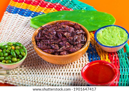 grasshoppers chapulines snack. Traditional mexican food