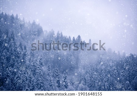 Snow blizzard in the mountain. Winter background