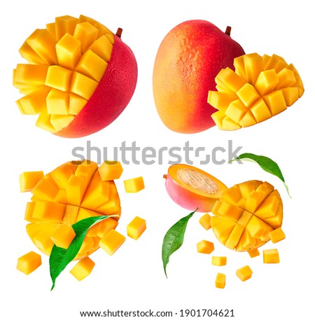 A set with Fresh ripe mango with leaves falling in the air isolated on white background. Food levitation concept. High resolution image