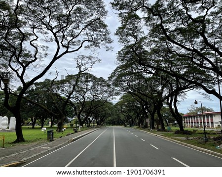 University of the Philippines or UP, is a coeducational, public research university located in Diliman, Quezon City, Philippines. It was established on February 12, 1949 as the flagship campus.