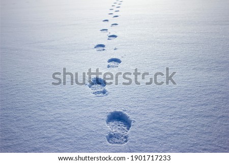 Human footprints in the snow under sunlight close-up view Royalty-Free Stock Photo #1901717233