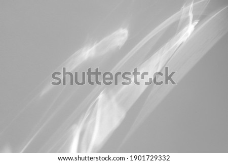 Blurred water texture overlay effect for photo and mockups. Organic drop diagonal shadow and light caustic effect on a white wall. Shadows for natural light effects Royalty-Free Stock Photo #1901729332
