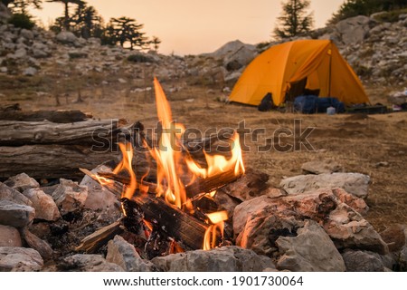Bonfire burning in tourist camp in mountains. Beautiful campfire, burning wood by tent in summer evening. Active lifestyle, traveling, hiking and camping concept. Campfire burning in slow motion Royalty-Free Stock Photo #1901730064