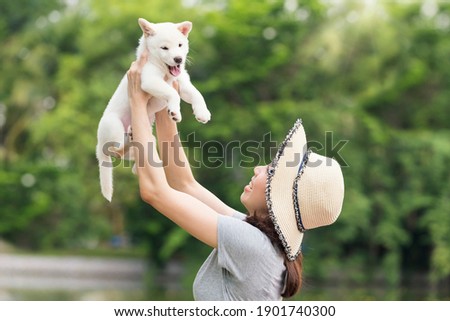 Asian women playing with Shiba Inu white puppy in the garden. Japanese woman and her lovely dog. Shiba inu White color or Hokkaido Inu. Royalty-Free Stock Photo #1901740300