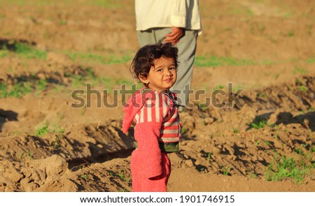 A beautiful Indian young child went to see the crop grown in his field during the winter months with grandfather, india