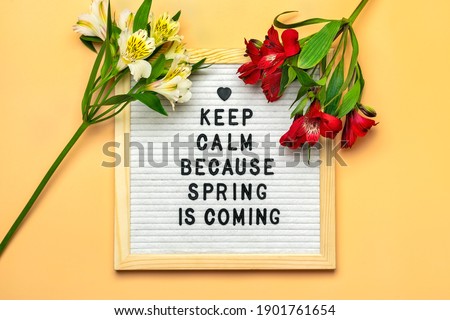 Felt board and Quote Keep calm because spring is coming, bouquet of alstroemeria flowers on beige background Springtime concept Top view Flat lay Floral holiday card