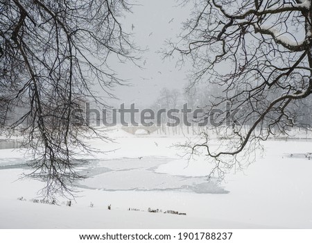Soft focus. Winter lake with patterns on the snow cover of the water and lots of flying gulls in the city park on a snowy day. Gatchina. Russia.