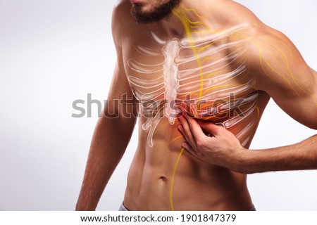 Chest bone nerve pain, human anatomy Royalty-Free Stock Photo #1901847379