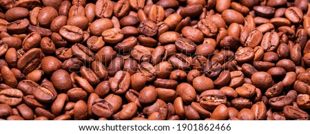 Roasted arabica coffee bean full frame backdrop background texture. 