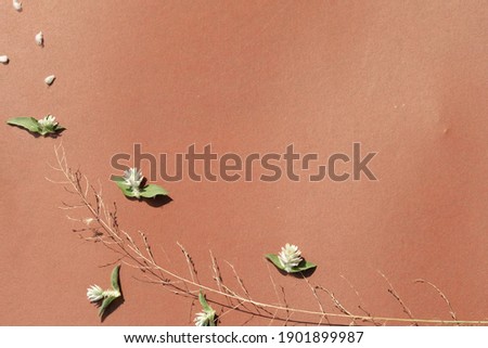 dried flower on brown background top view of vintage style Premium Photo