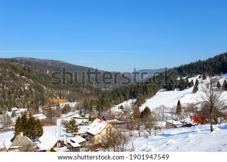 Village in winter sunny day
