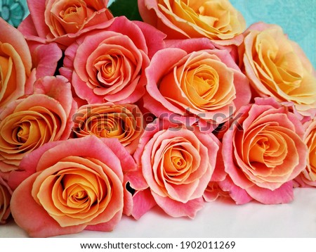 Background image of pink and orange roses
