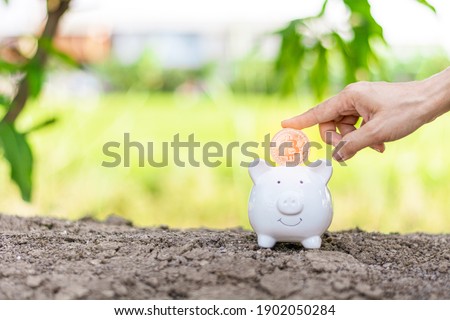 Hand holding a bitcoin over a white piggy bank. Digital payment system.