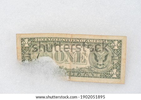 Dollar in the snow. Frozen money concept. Bank crisis. The economy is frozen. Close-up.