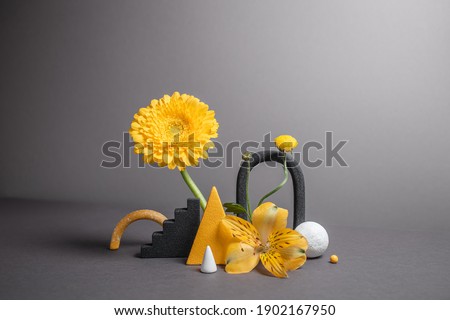 Minimalistic composition with geometric objects and flowers. Balancing flowers with varied shapes. Modern abstract botanical background. Trendy colors of 2021 year - gray and yellow.