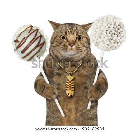 A gray cat is holding two big cake pops. White background. Isolated.