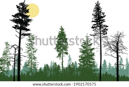illustration with forest isolated on white background