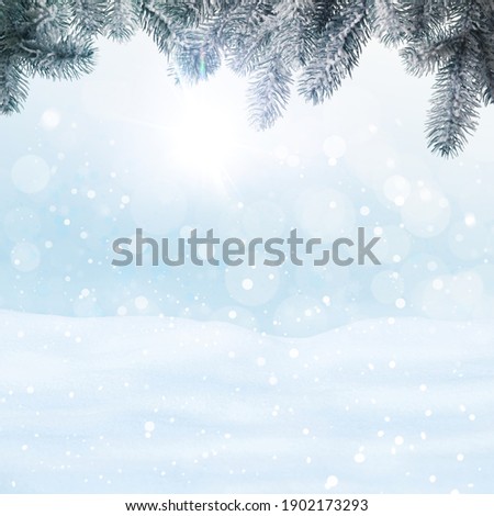 Winter card design. Beautiful fluffy snow and fir tree outdoors