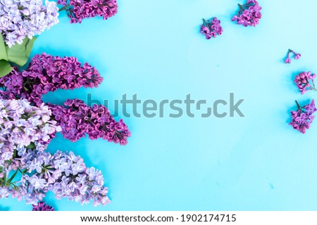 Fresh violet lilac flowers border over blue background with copy space, flat lay floral composition