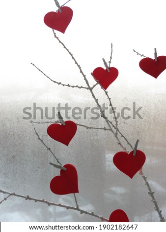 Red hearts on a white twig against the background of a window