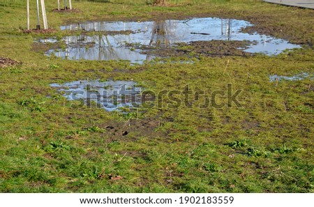 the waterlogged soil in the park does not receive water from the spring rain. poorly executed drainage or cracked automatic irrigation pipeline created a flood, a road accident near the road Royalty-Free Stock Photo #1902183559