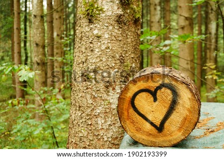 Tree trunk with heart and copy space in forest