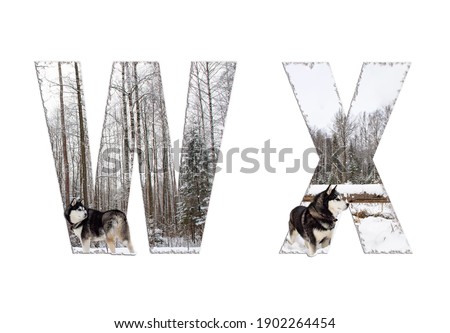 Font, letter W, X with a dog in the woods
