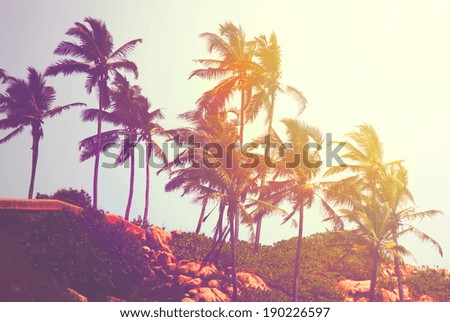 Retro photo of tropical beach, India