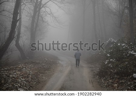 man walking on a path in a strange dark forest with fog. Old man silhouette walking on road in forest