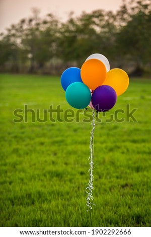 Colorful balloons on the green meadow at sunset