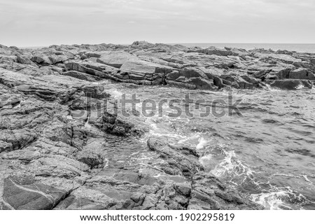 Rocky shoreline from Nova Scotia in black and white